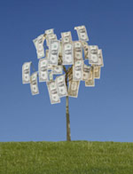 Business Loan Fund Services